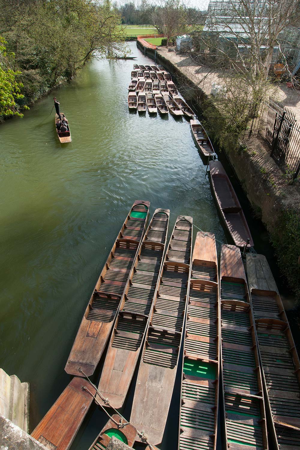 Punts on the River Cherwell, Oxford